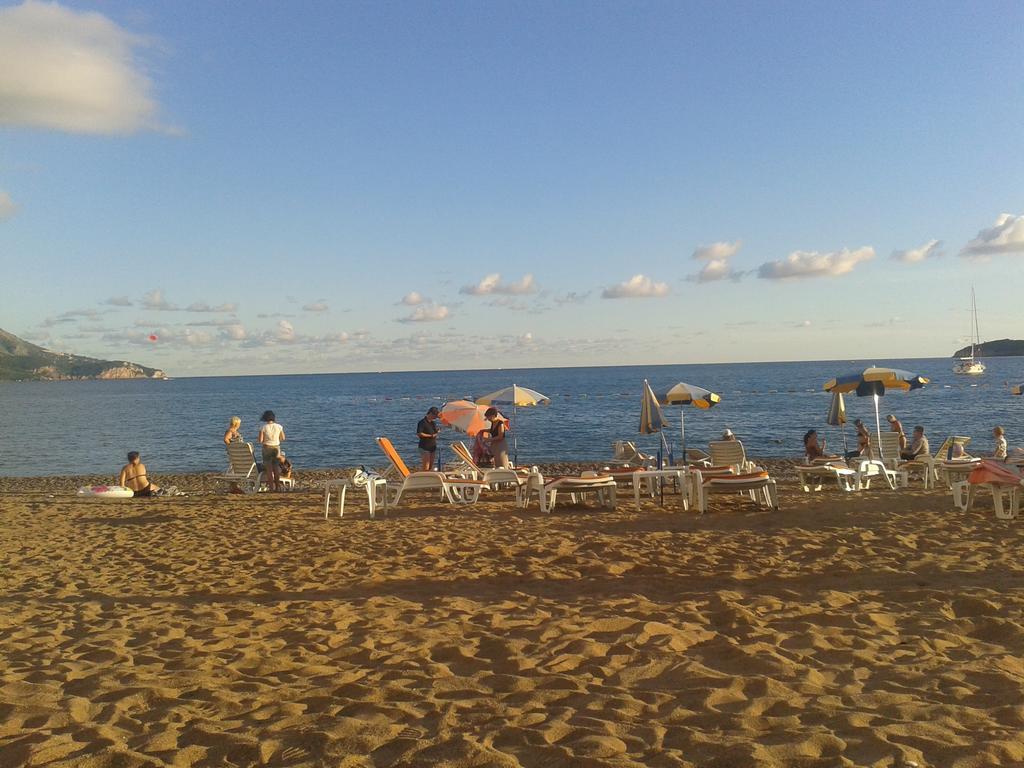 Vera Budva